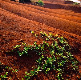 《城市：天际线》衍生作品《城市：VR》将于2022年春登陆Mate Quest2